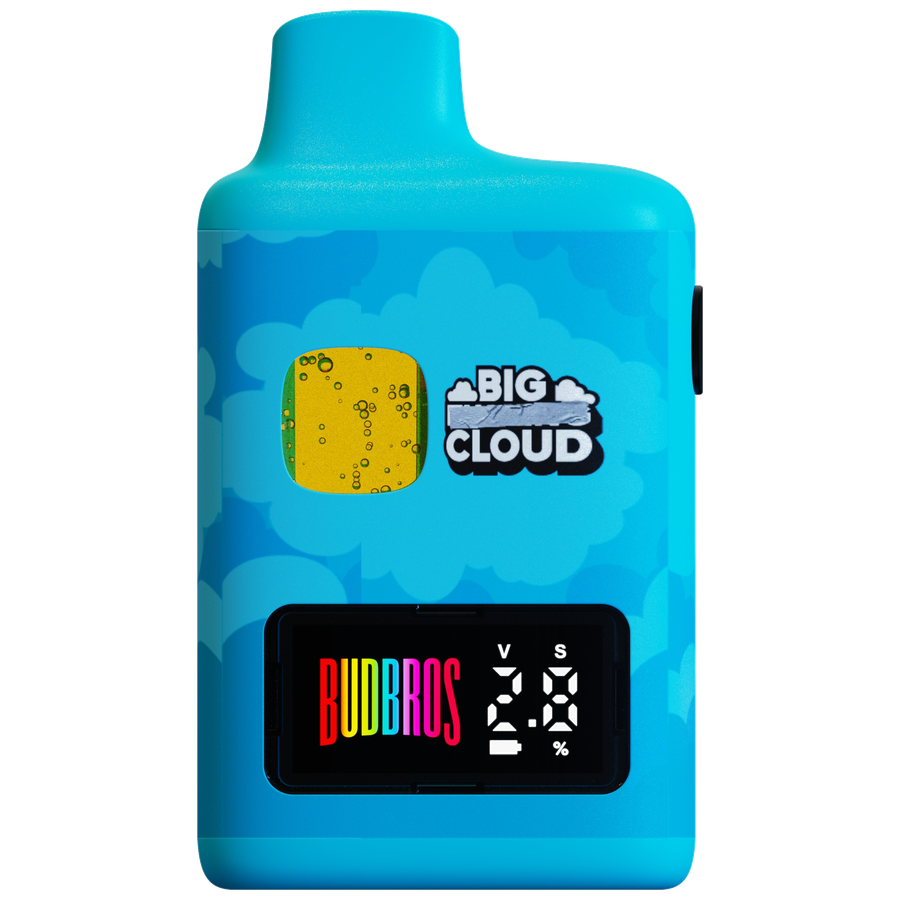 Big Cloud 2G device